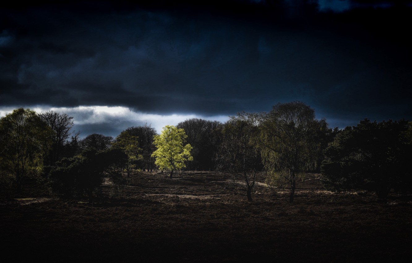 Photo Wallpaper Earth, Trees, Nature, Clouds, Horizon, - Nature Earth Background Dark - HD Wallpaper 
