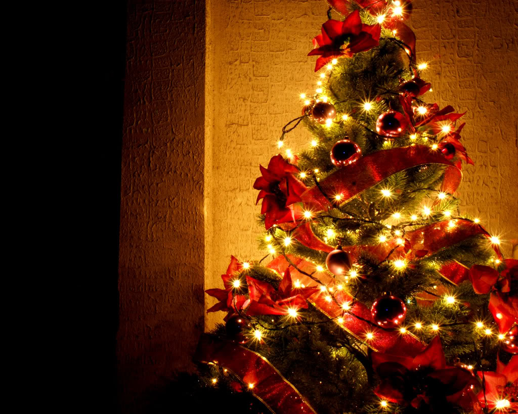 Beautiful Christmas Tree Wallpapers - Beautiful Christmas Trees Background - HD Wallpaper 