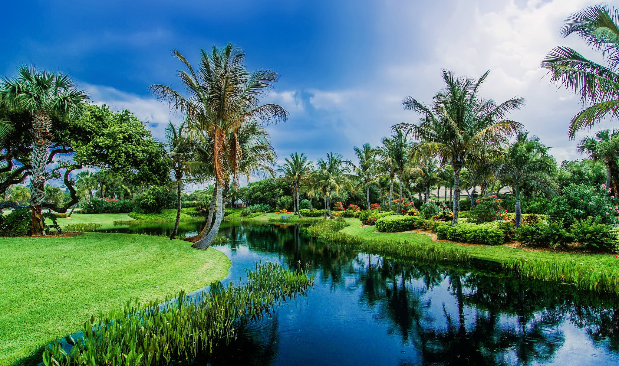 Best Nature Wallpaper Download - HD Wallpaper 