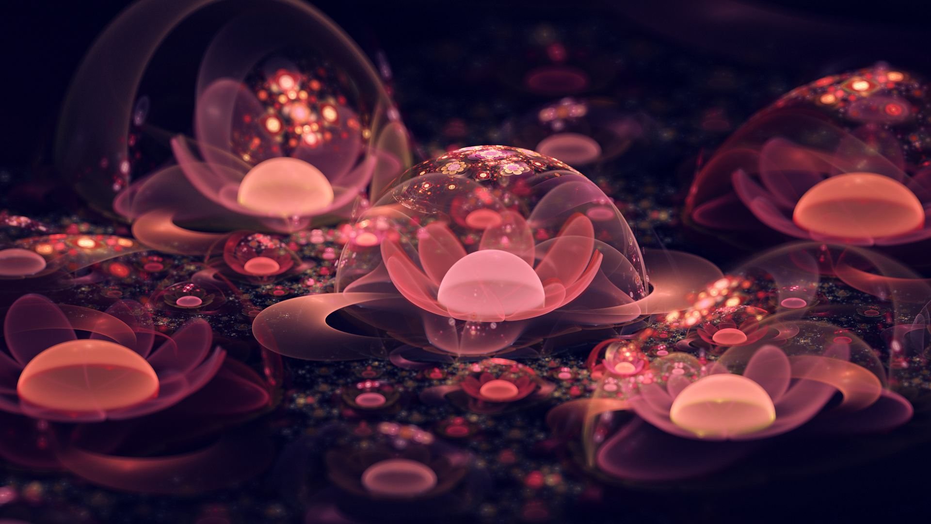 Flowers Hd Wallpapers For Pc Desktop - HD Wallpaper 