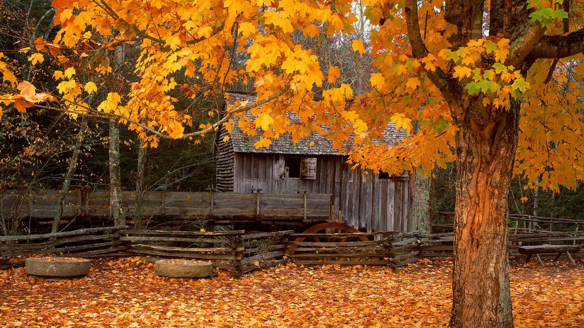 Fall Screensavers - HD Wallpaper 