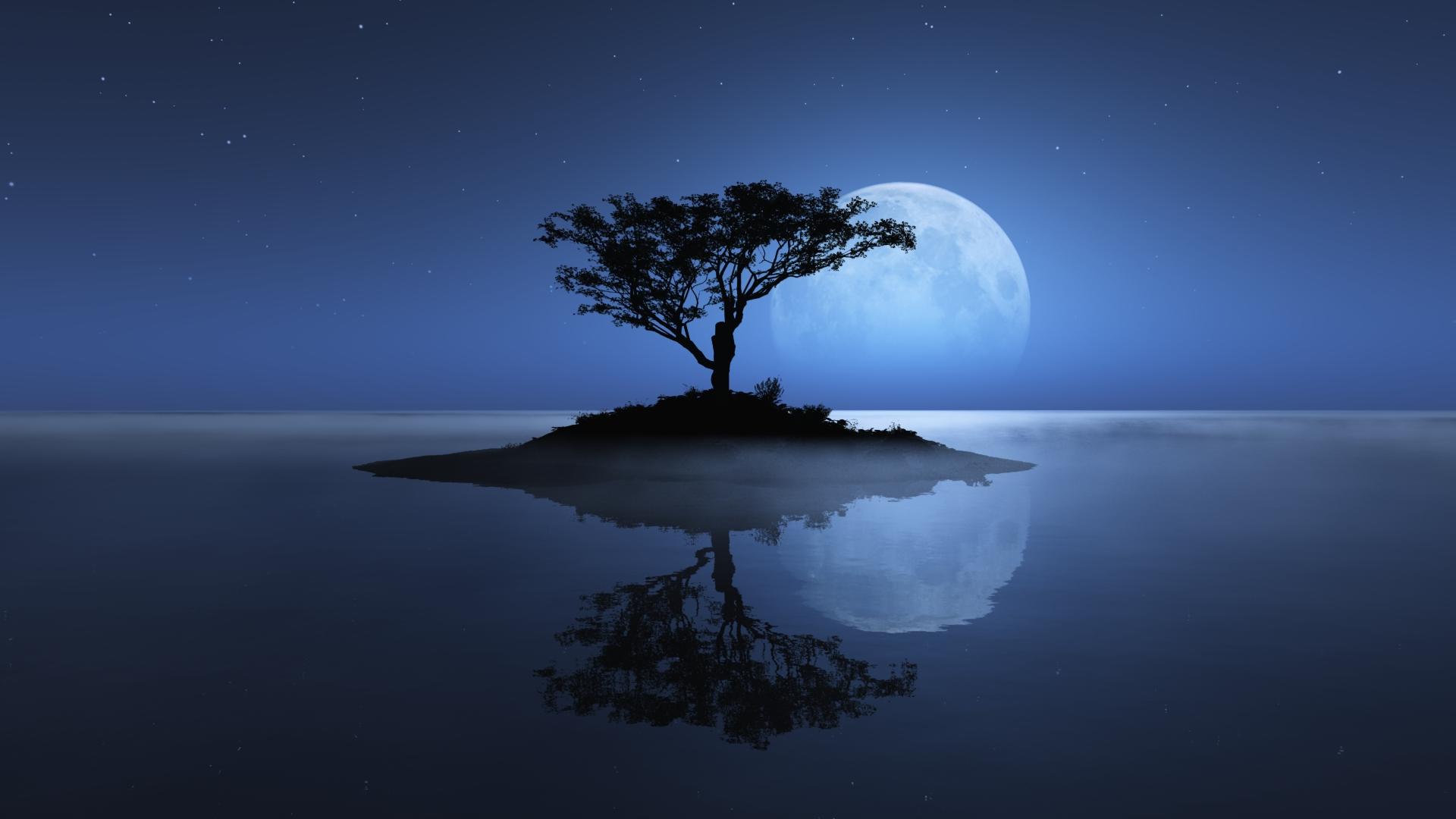 Moonlight Nature Wallpaper Wide For Free Wallpaper - HD Wallpaper 