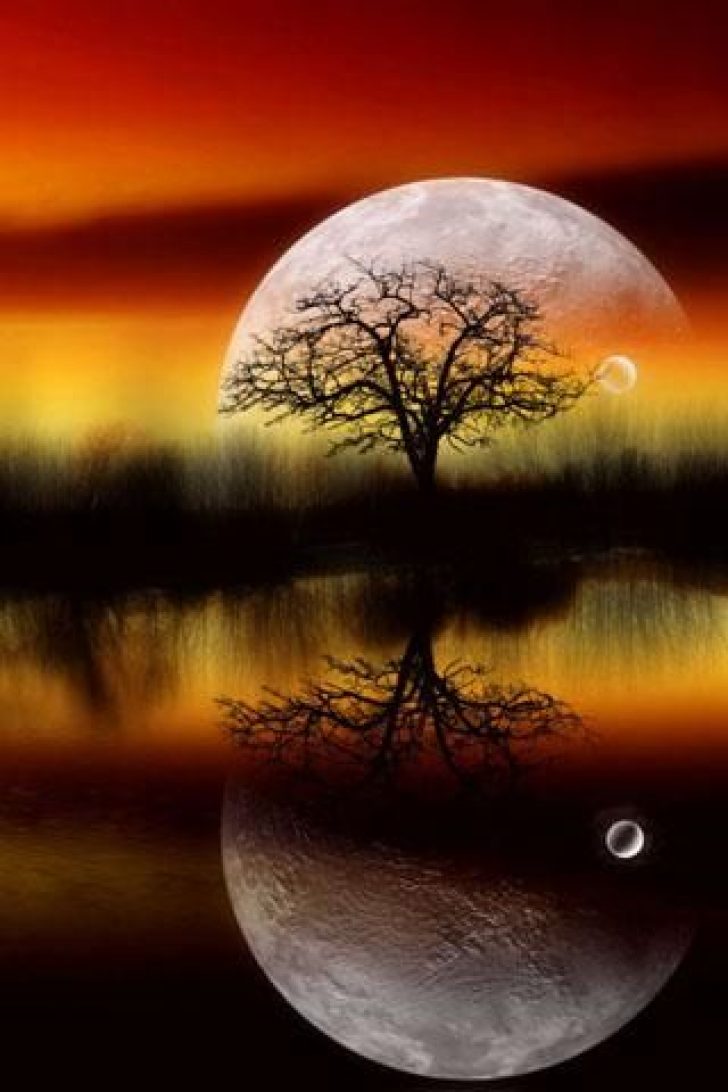 Luxury Nature Wallpaper Andro - HD Wallpaper 