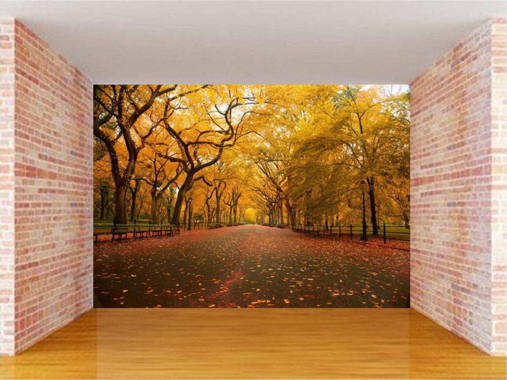 Central Park Fall Time - HD Wallpaper 