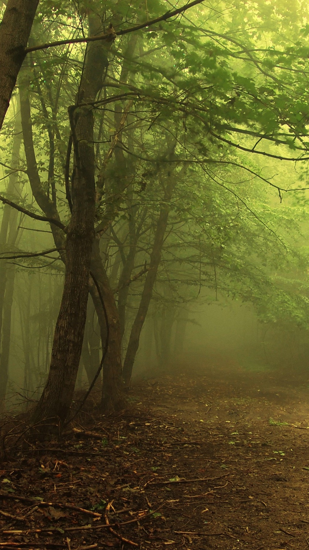 Iphone Nature Wallpaper Beautiful Resolution - HD Wallpaper 