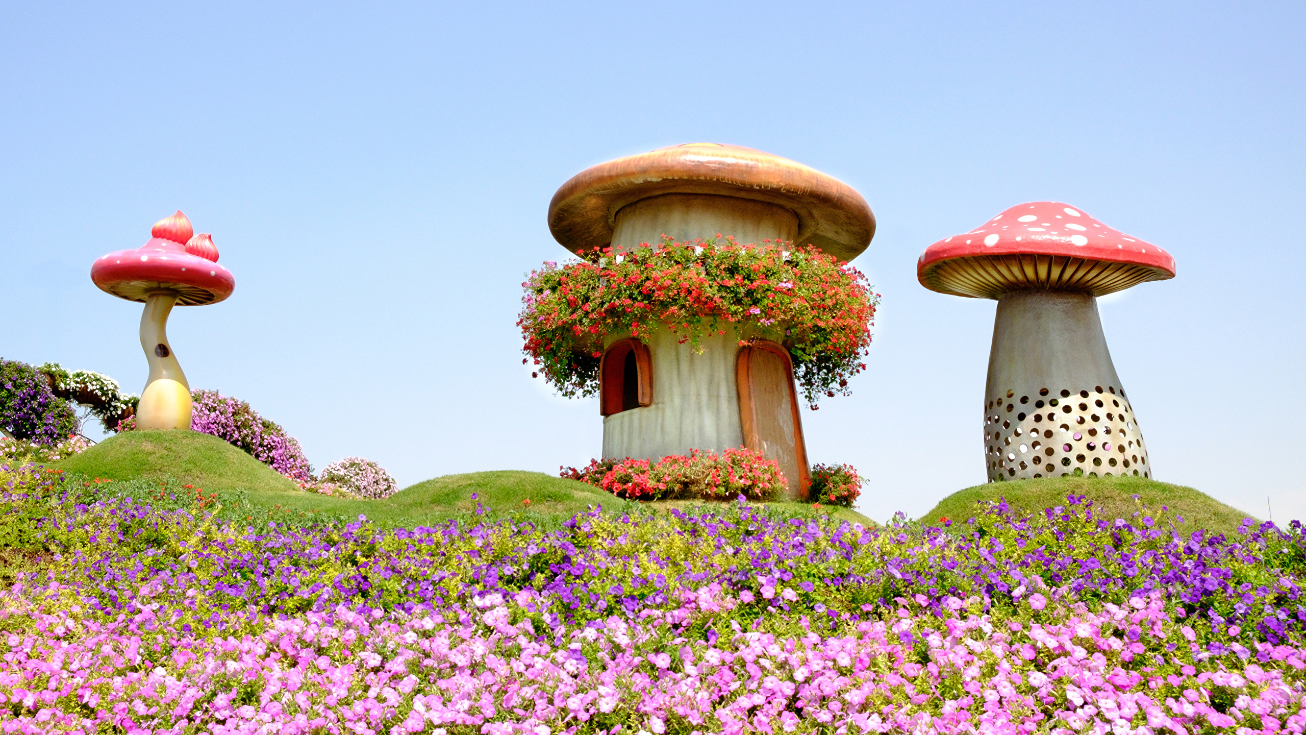 Nature For Dubai - HD Wallpaper 