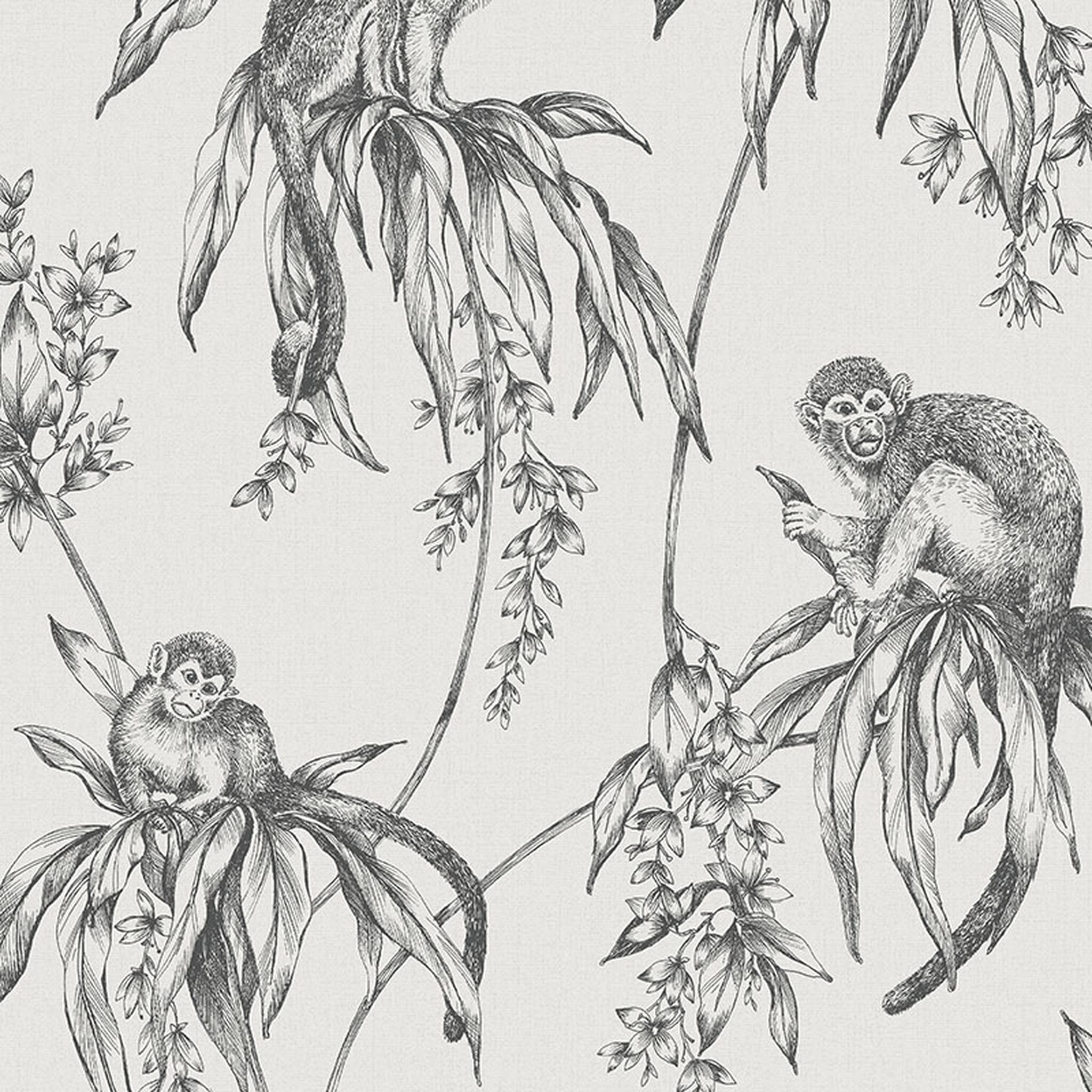Saimiri Monkey Natural Wallpaper - Black And White Tropical - HD Wallpaper 