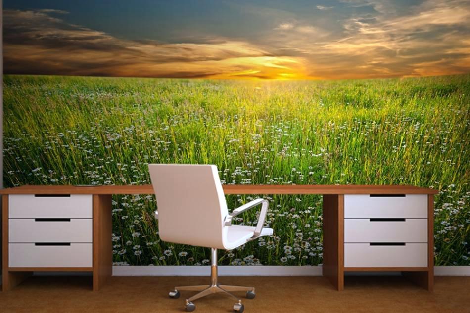 Landscape Wallpaper In Office - HD Wallpaper 