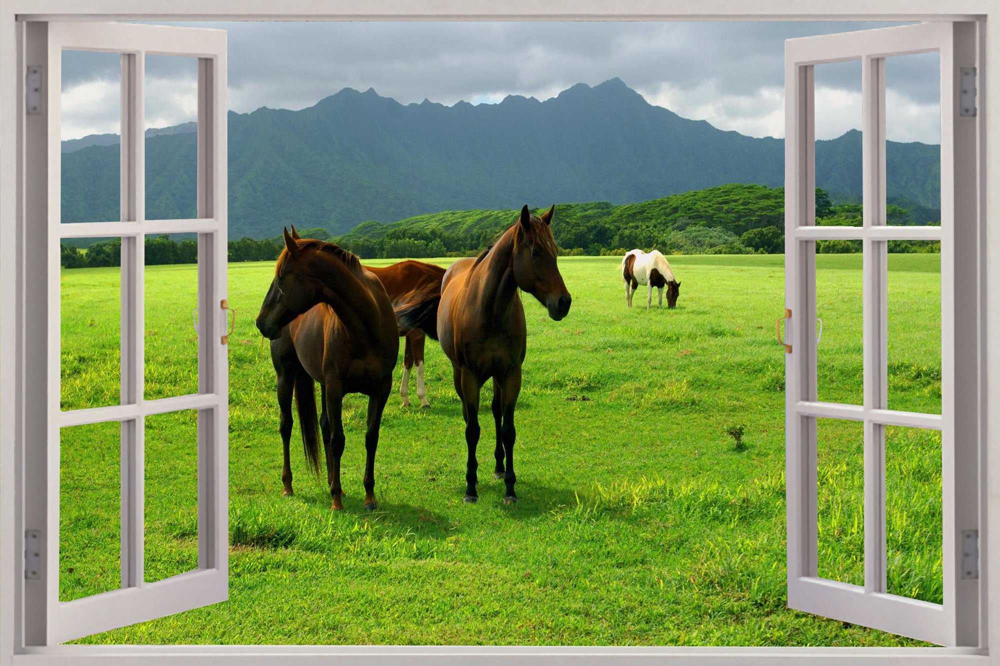 Ebay 3d Wallpaper - Wall Decal Window Horse - HD Wallpaper 