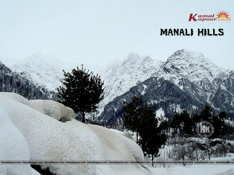 Snow - HD Wallpaper 