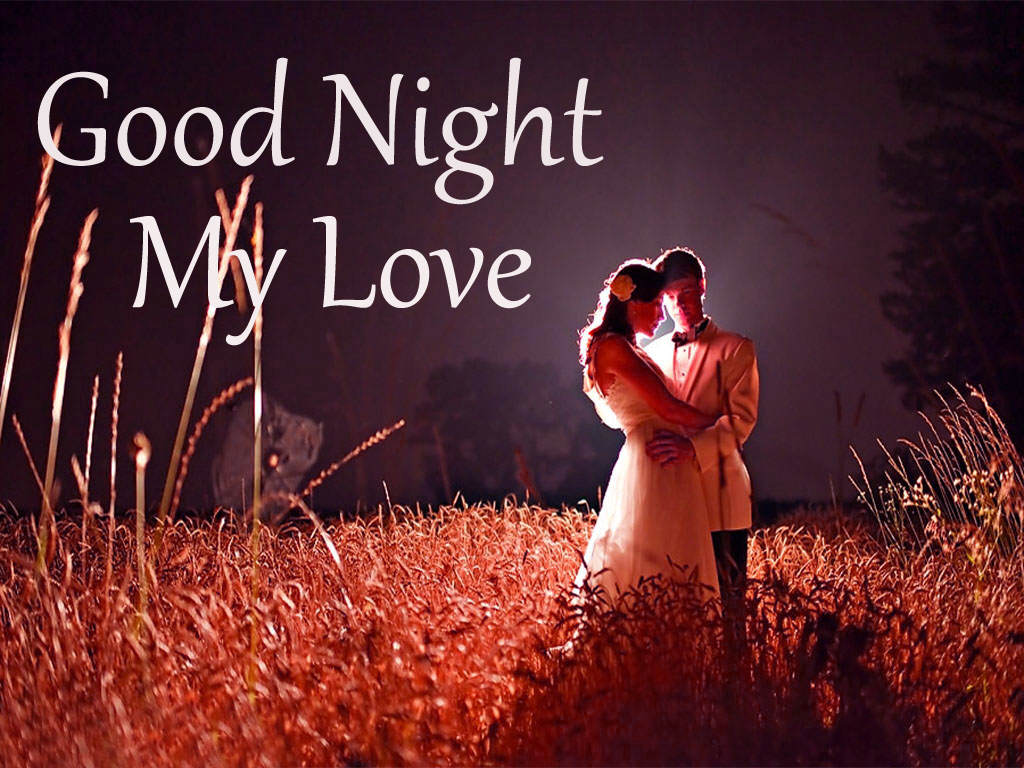 Good Night My Love Romantic Couple Wallpapers And Backgrounds - Romantic Good  Night Love - 1024x768 Wallpaper 