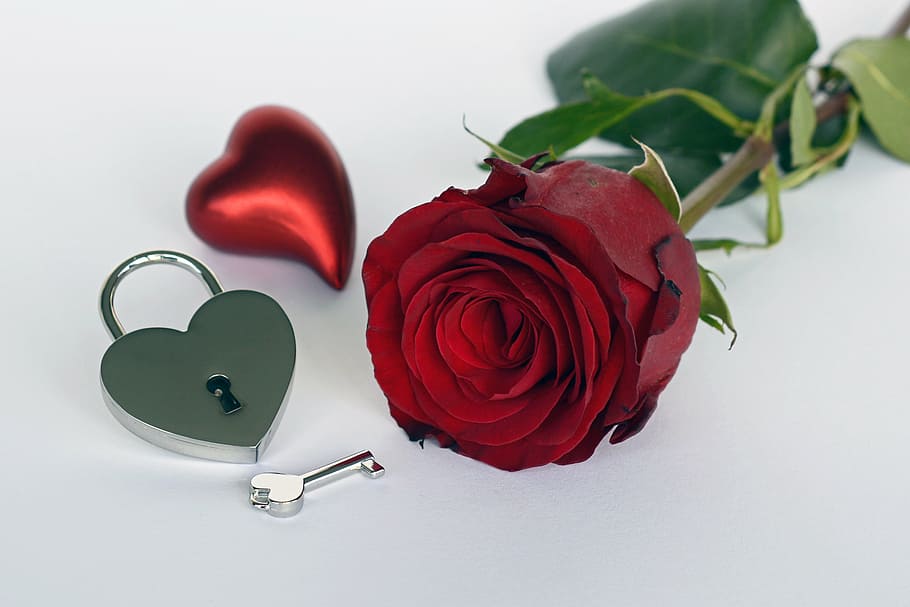 Red Rose, Heart, Castle, Key, Open, Rose Flower, Romance, - HD Wallpaper 