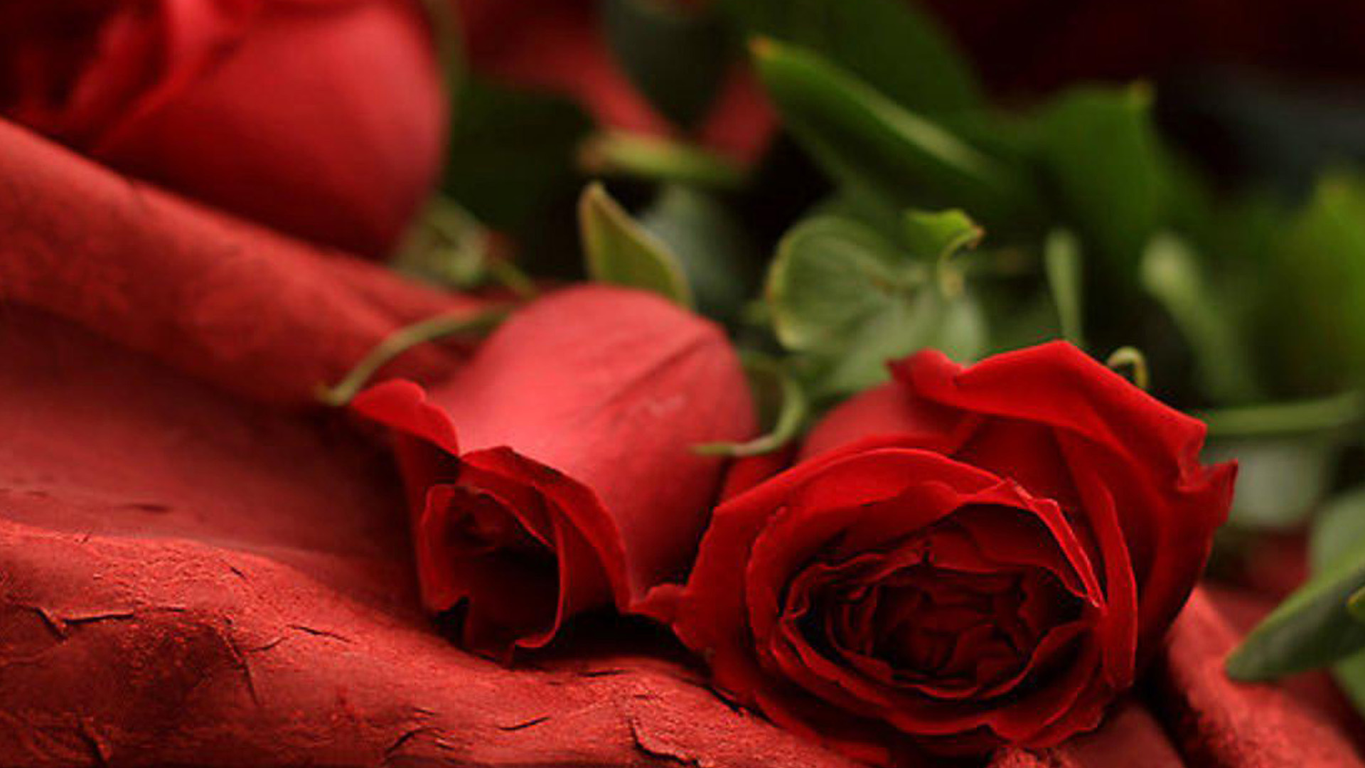 Romantic Rose Images In Hd - HD Wallpaper 