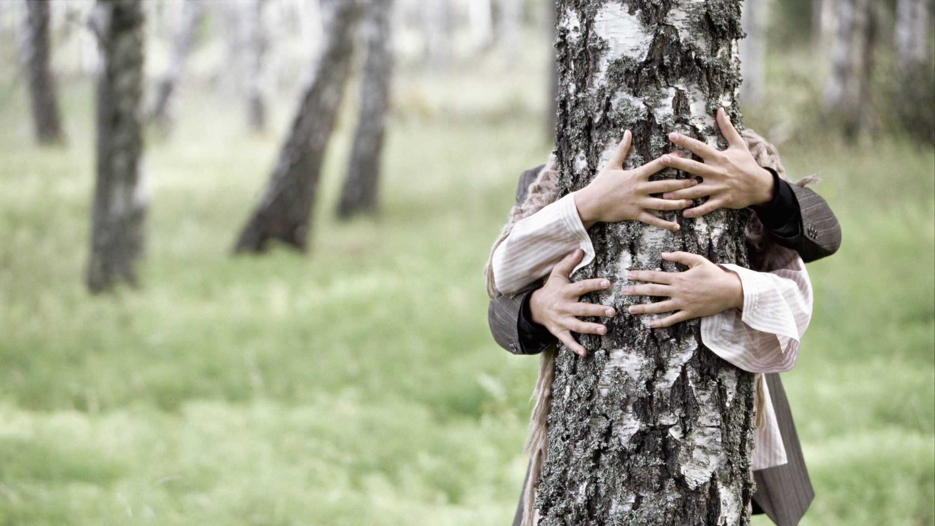 Wallpaper Love, Couple, Tree, Trunk, Birch, Hands - 1080p Full Hd Love Couples Wallpaper Hd - HD Wallpaper 