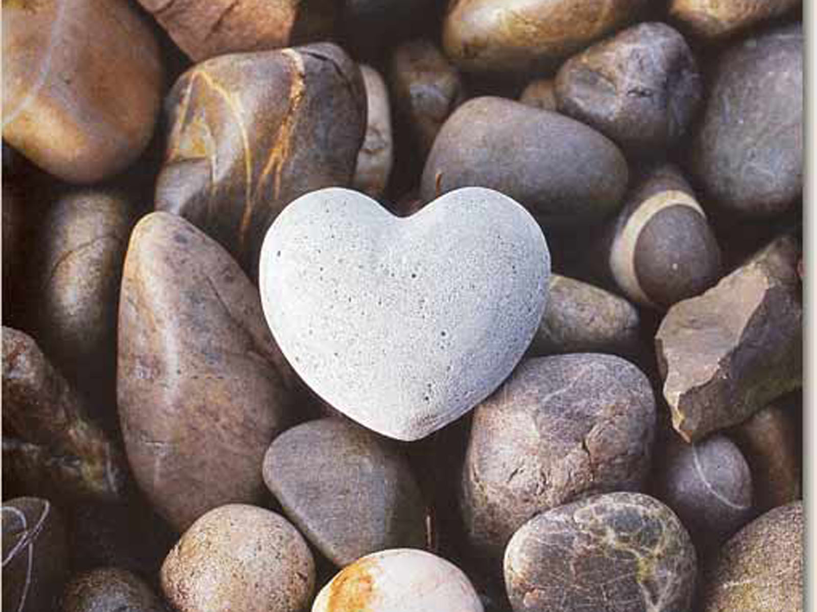 Nature Love Wallpaper - Nature Shaped In Heart - HD Wallpaper 