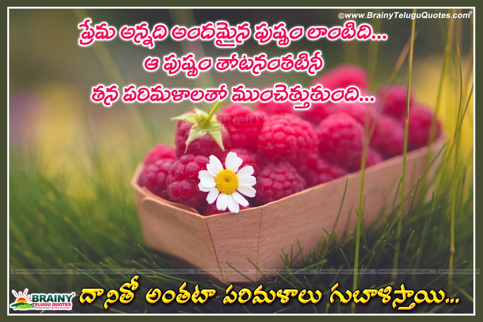 Here Is Telugu Best Romantic Love Proposals Quotes, - Good Morning Raspberry - 1600x1067 Wallpaper Here Is Telugu Best Romantic Love Proposals Quotes, - Good Morning Raspberry - 1600x1067 Wallpaper