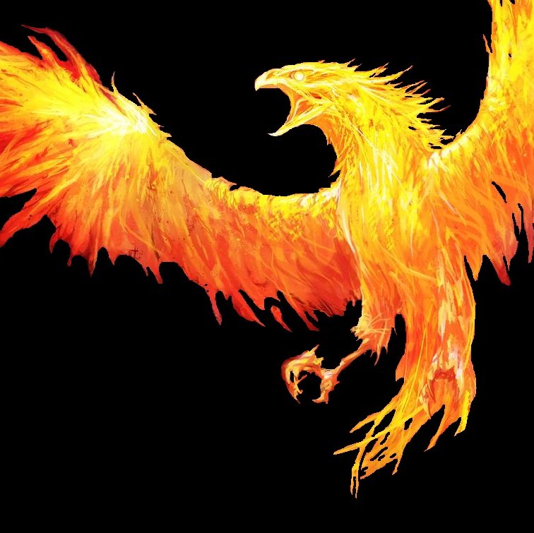 Fire Fenix - HD Wallpaper 