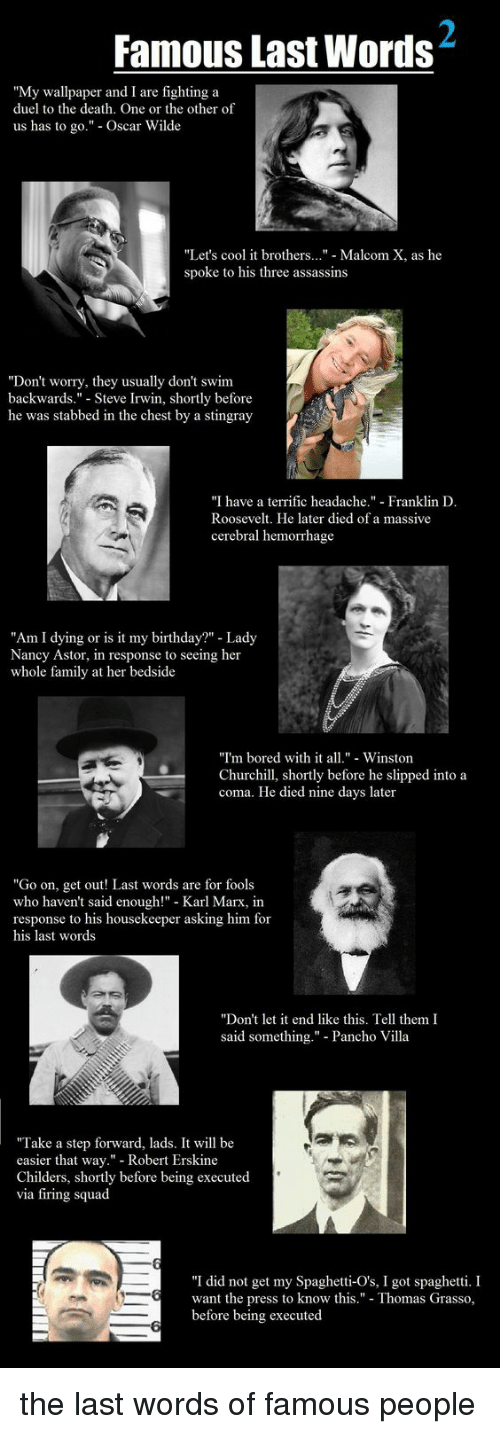 Birthday, Bored, And Family - Were Steve Irwins Last Words - HD Wallpaper 