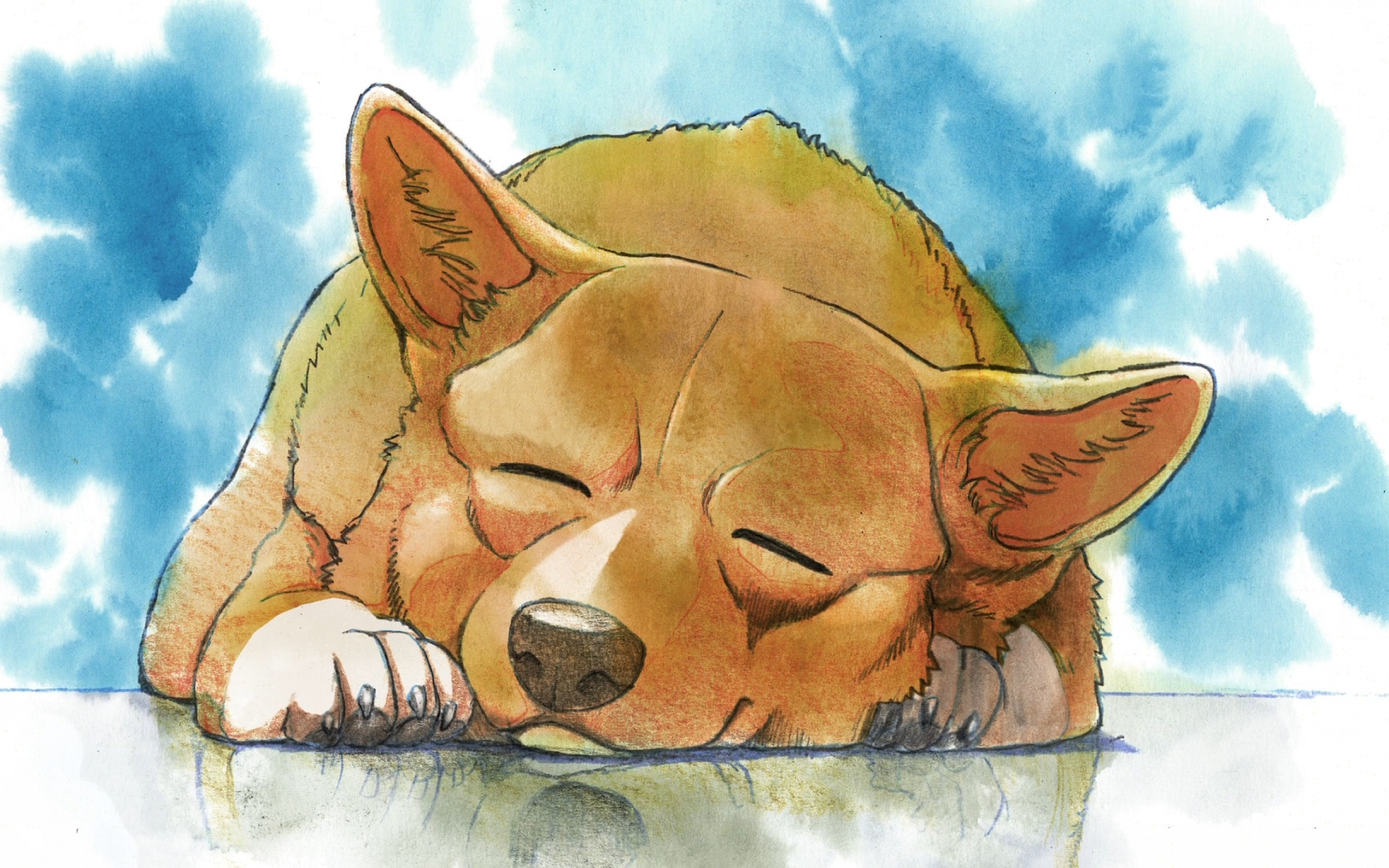 Cowboy Bebop Ein's Summer Vacation - HD Wallpaper 