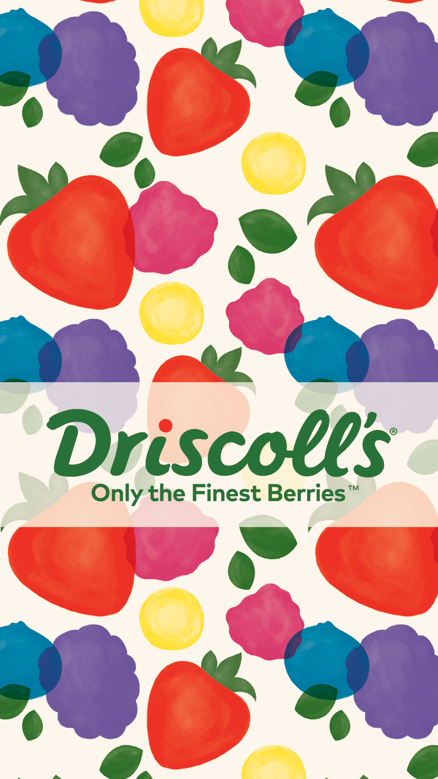 Driscolls - HD Wallpaper 