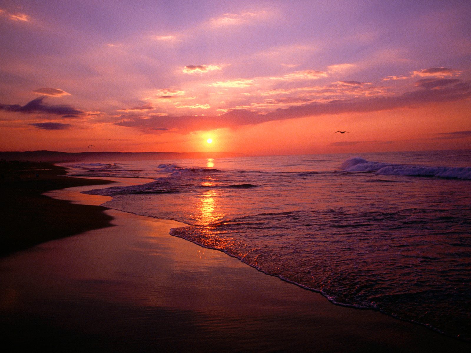 Newport Beach Sunrise California Wallpapers Hd Iphone - HD Wallpaper 