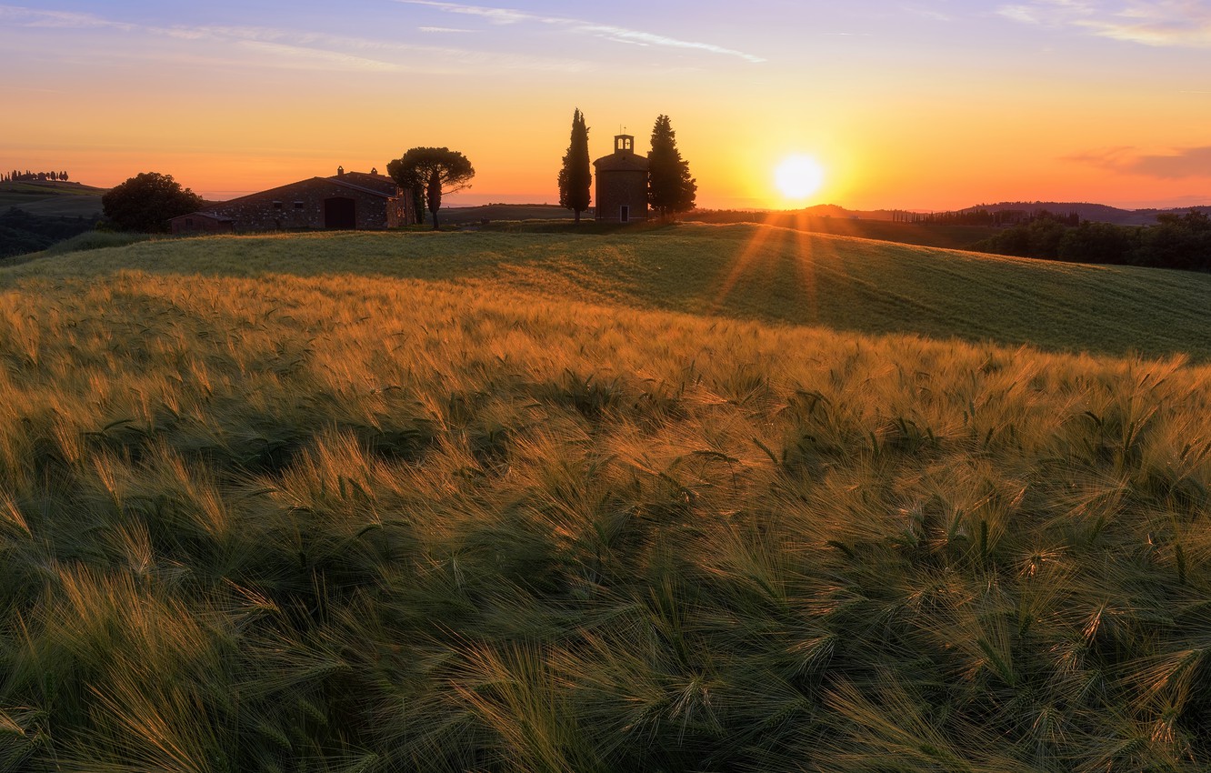 Photo Wallpaper Field, The Sun, Light, Sunset, Rye, - Red Sky At Morning - HD Wallpaper 