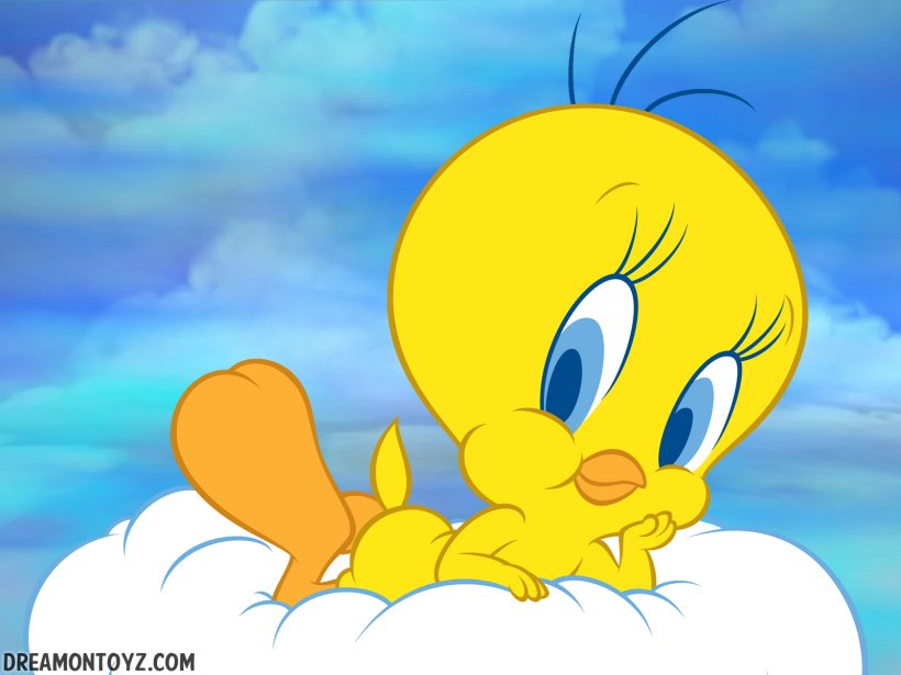 Tweety Cartoon Desktop Wallpaper Drawing, Png, 1600x1200px, - HD Wallpaper 