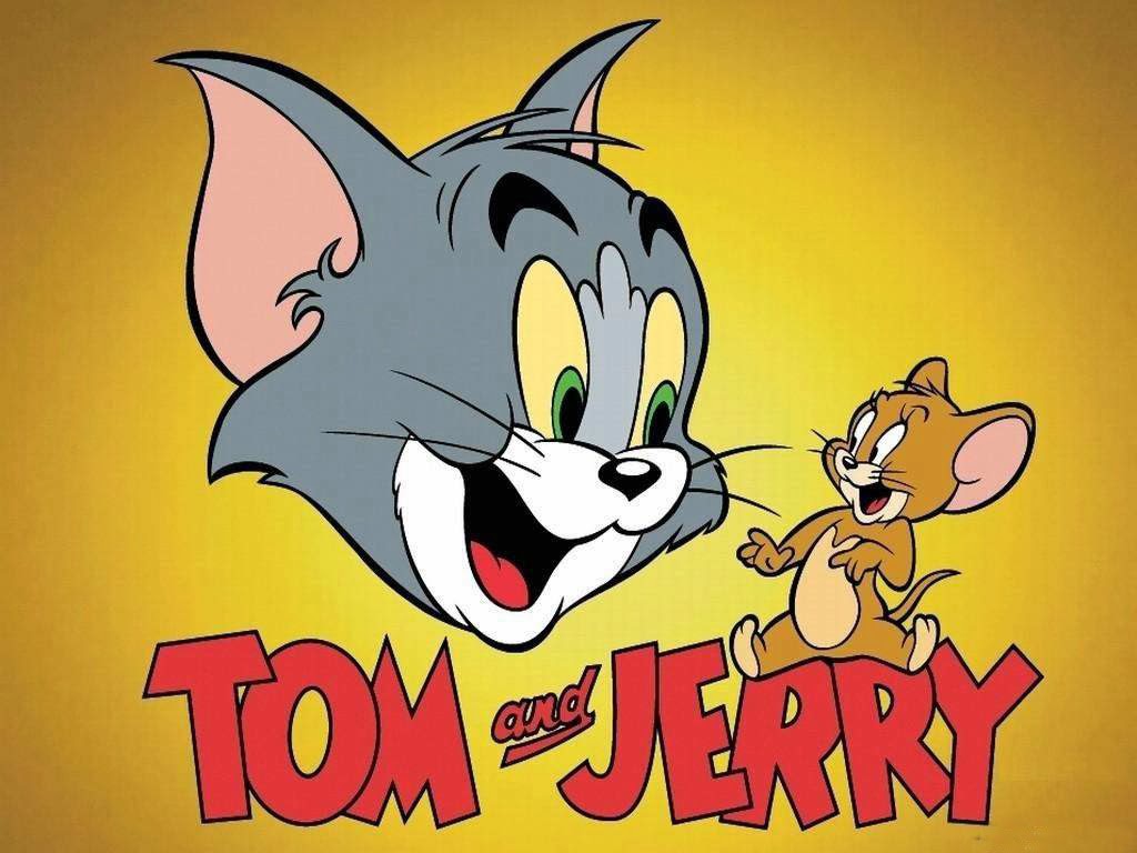 Scooby Doo Cartoon Network Tom And Jerry - HD Wallpaper 