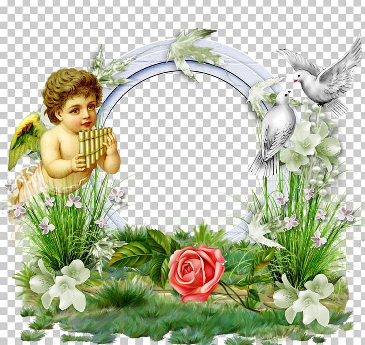 Frames Angel Window God Png, Clipart, Angel, Animation, - Angel Frames - HD Wallpaper 