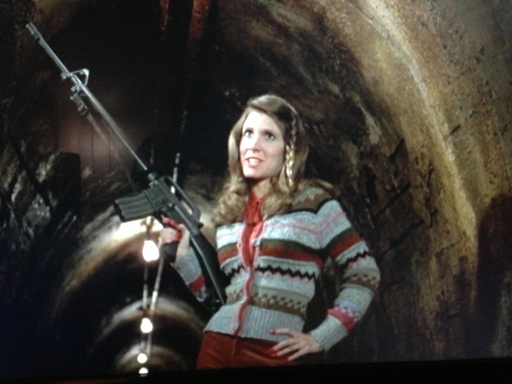 Blues Brothers Movie Carrie Fisher - HD Wallpaper 