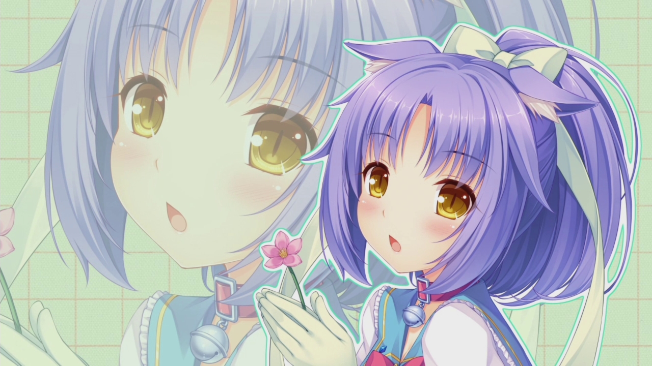 Cinnamon Nekopara Background - HD Wallpaper 