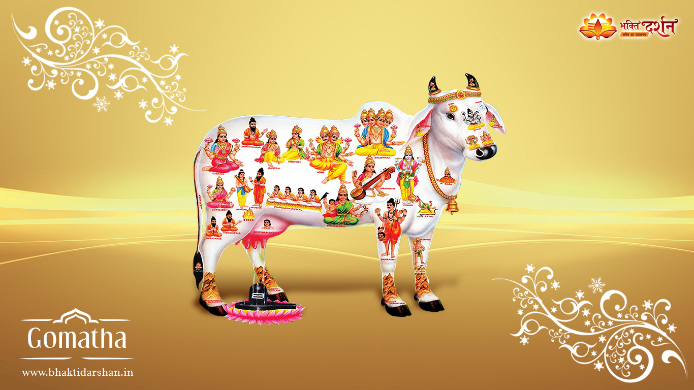 Krishna - HD Wallpaper 