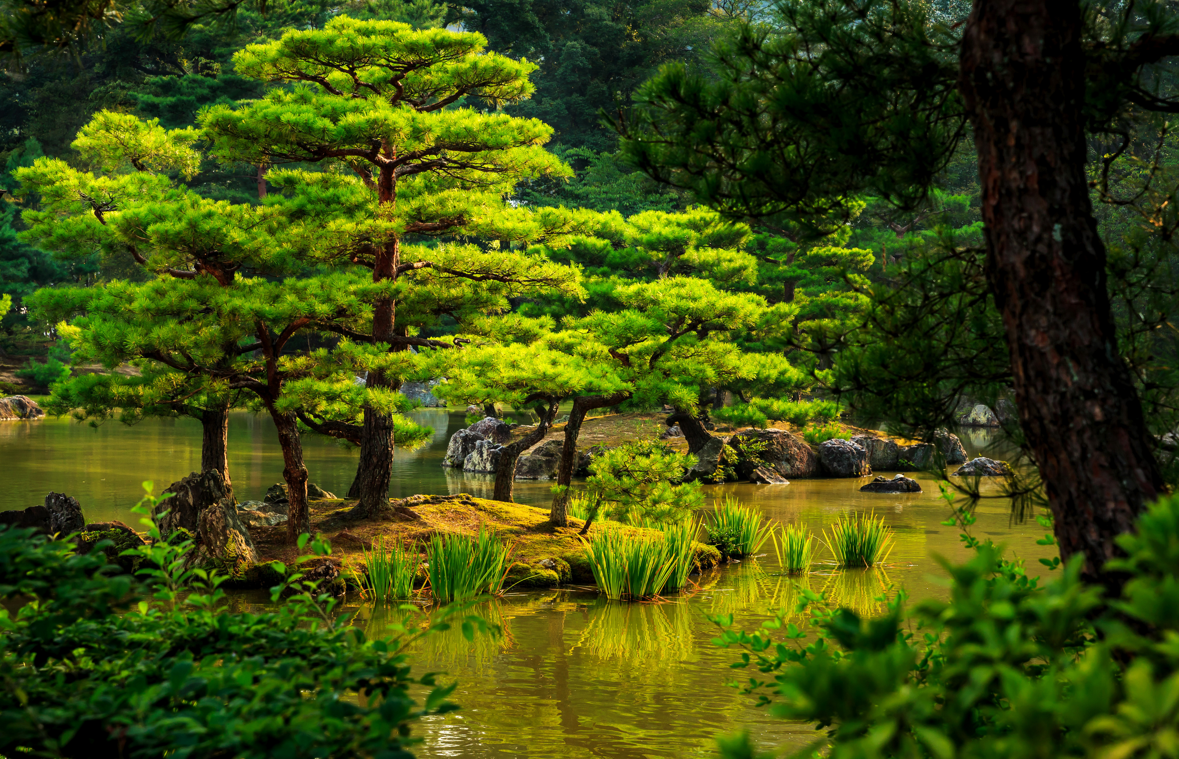 Garden In Kyoto, Japan, Wallpaper V - Hd Wallpapers 4k - HD Wallpaper 