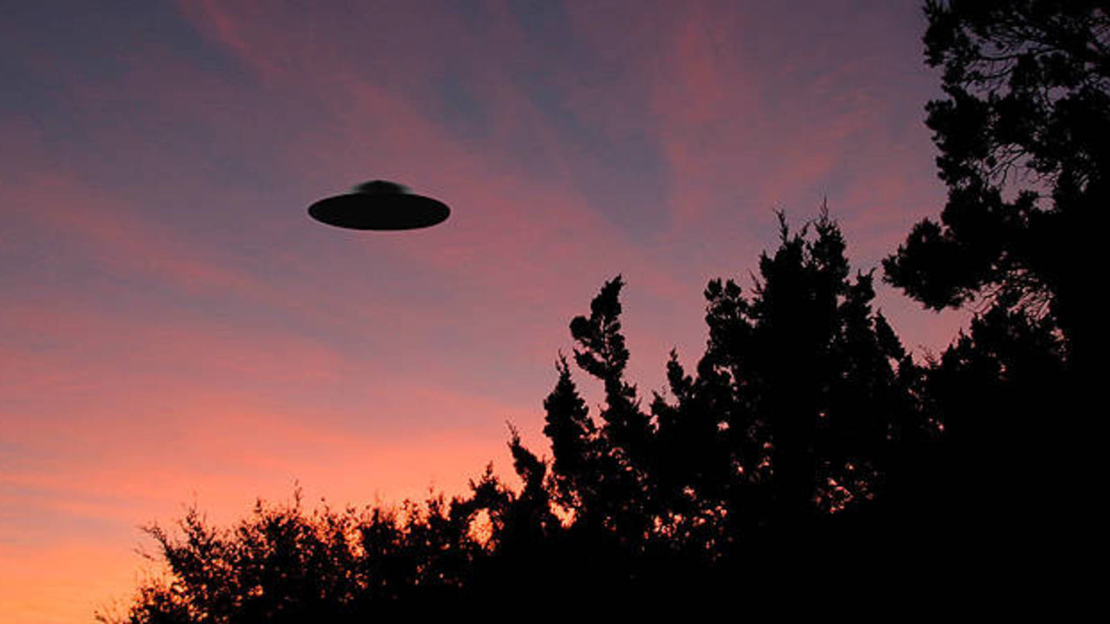 Foto - Foto - Istock - - Purple Sky And Trees - HD Wallpaper 