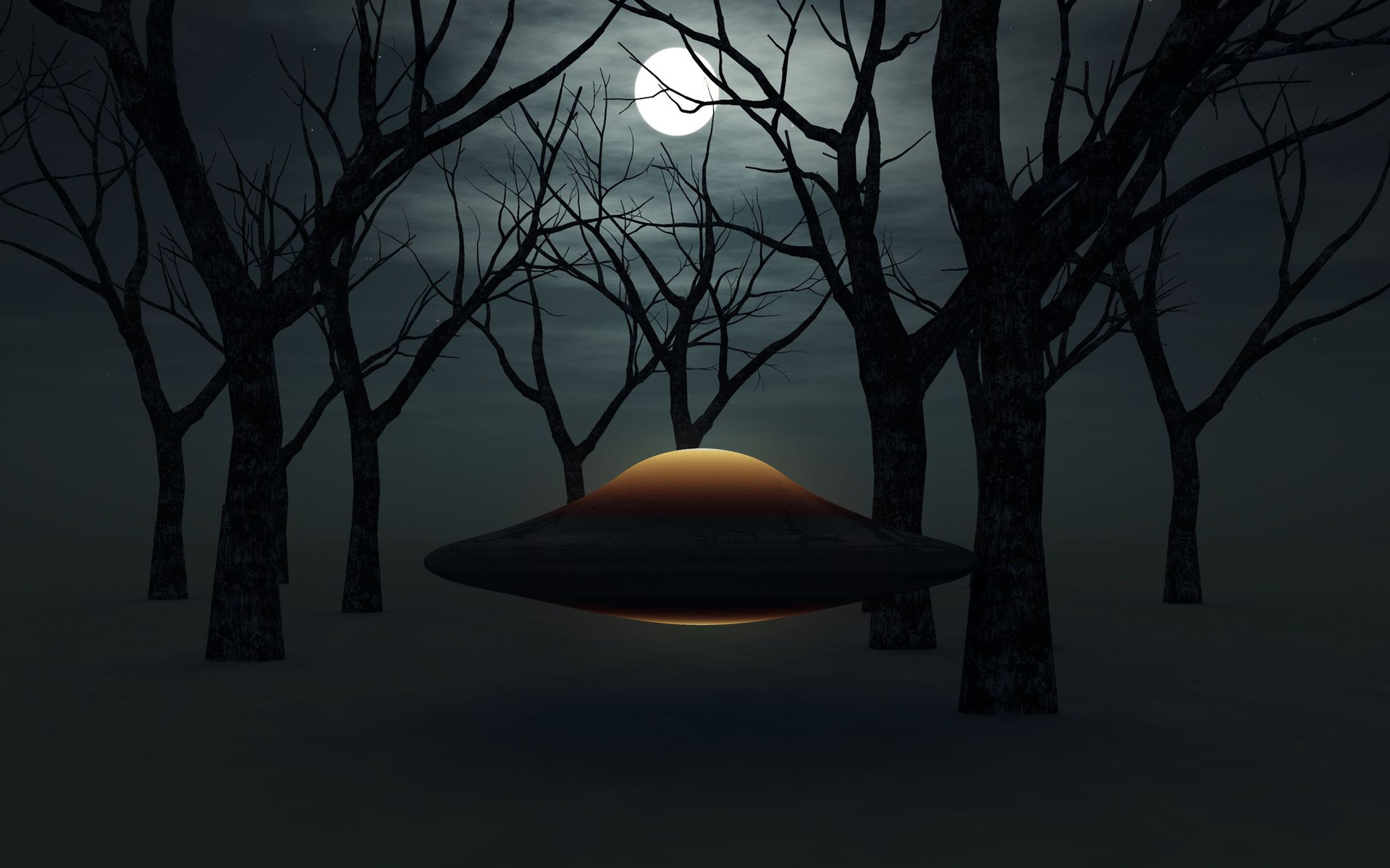 Wallpaper - HD Wallpaper 