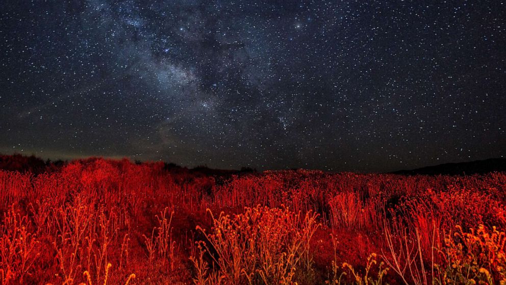 Ufo Sightings 2019 - HD Wallpaper 