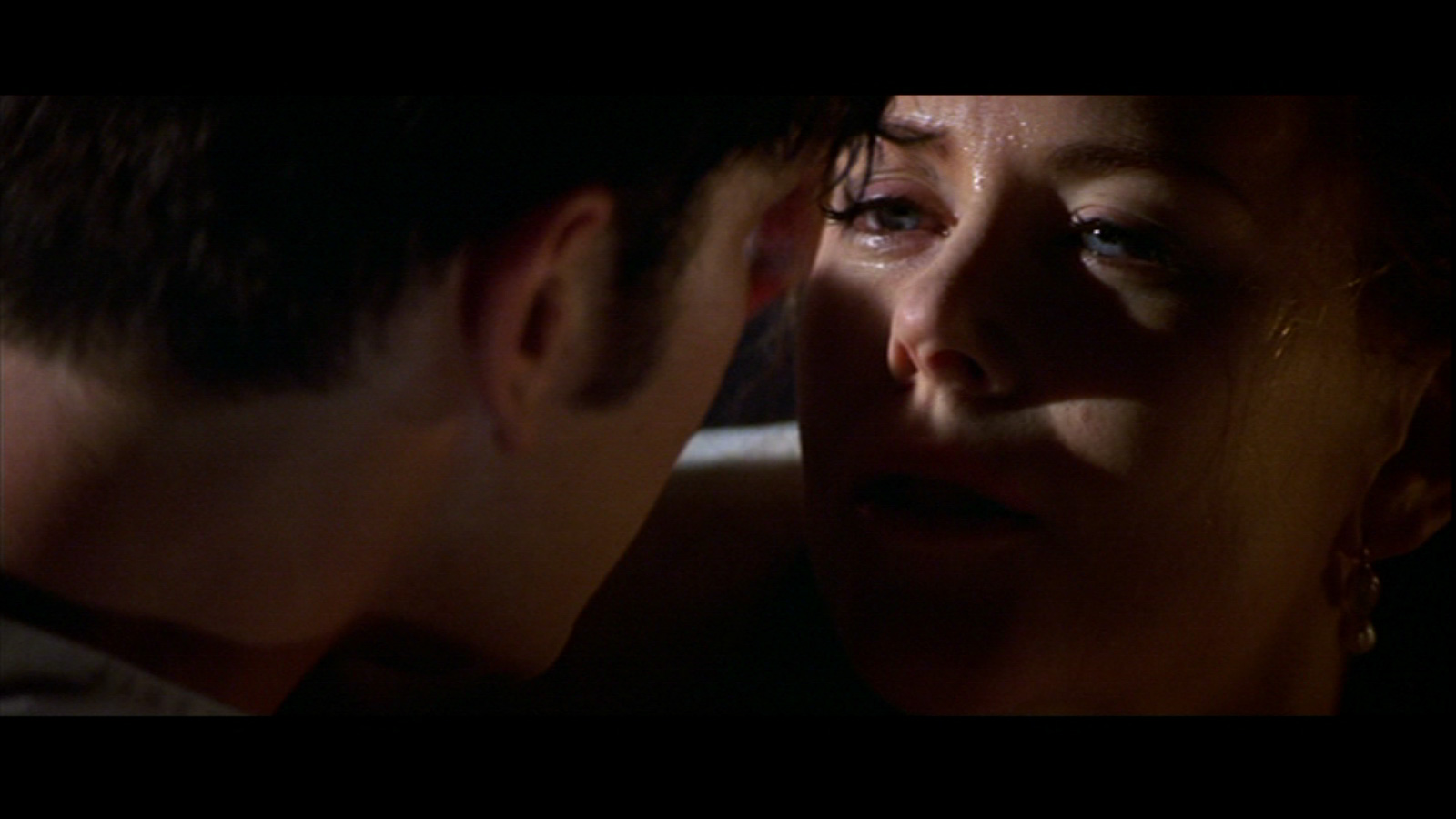 Close-up - HD Wallpaper 