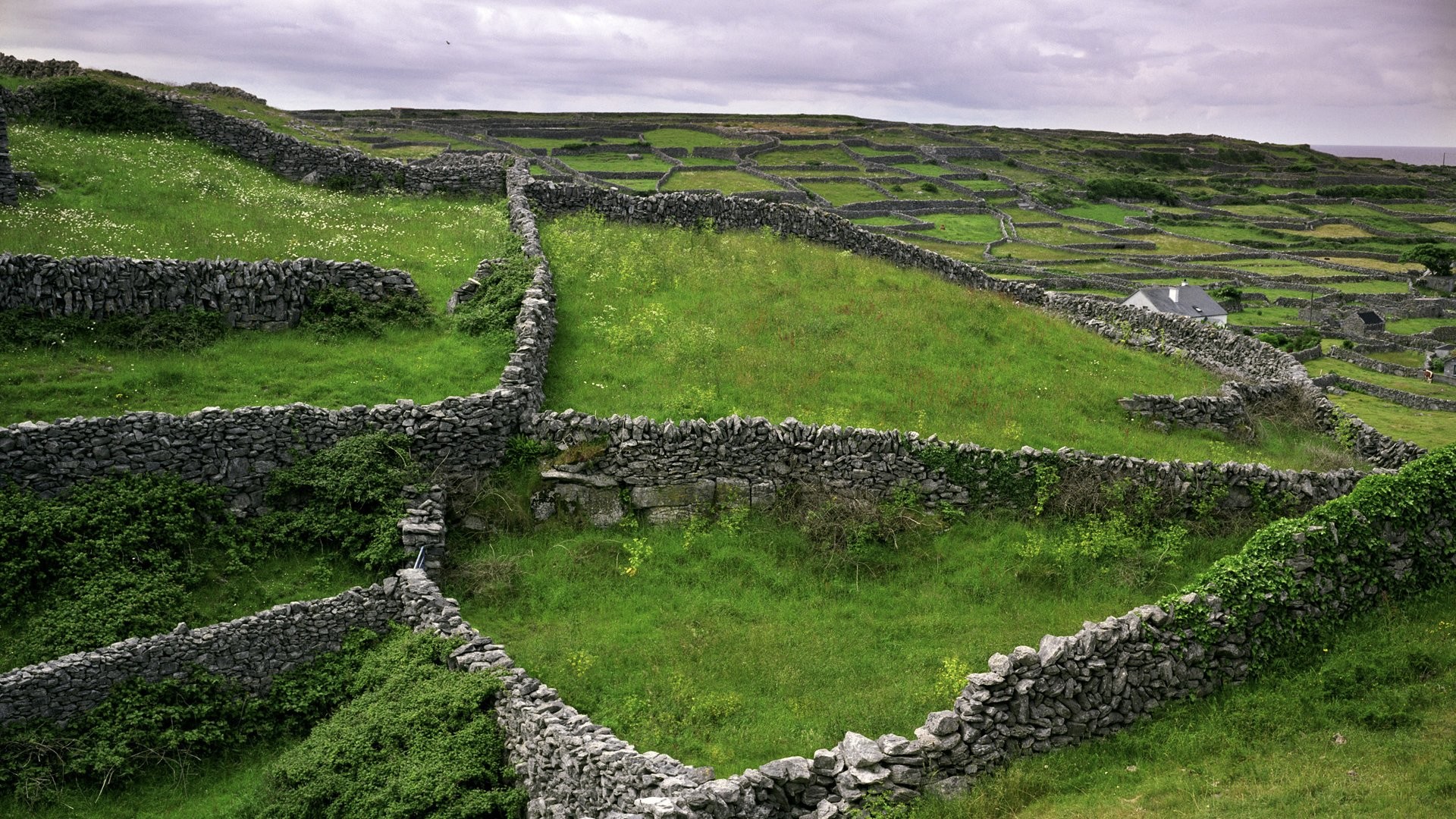 Free Download Ireland Wallpapers Pixelstalk Net Irish - Stone Walls Ireland - HD Wallpaper 