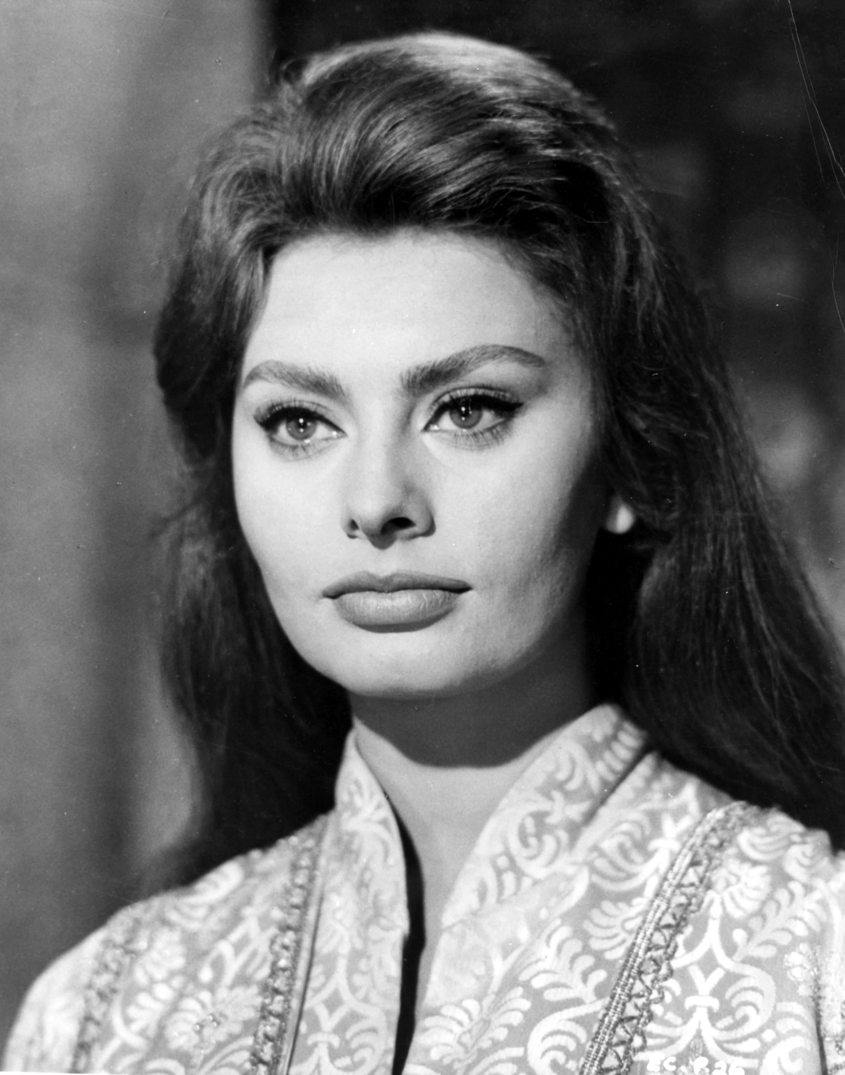 Sophia Loren Wallpapers Hd - HD Wallpaper 