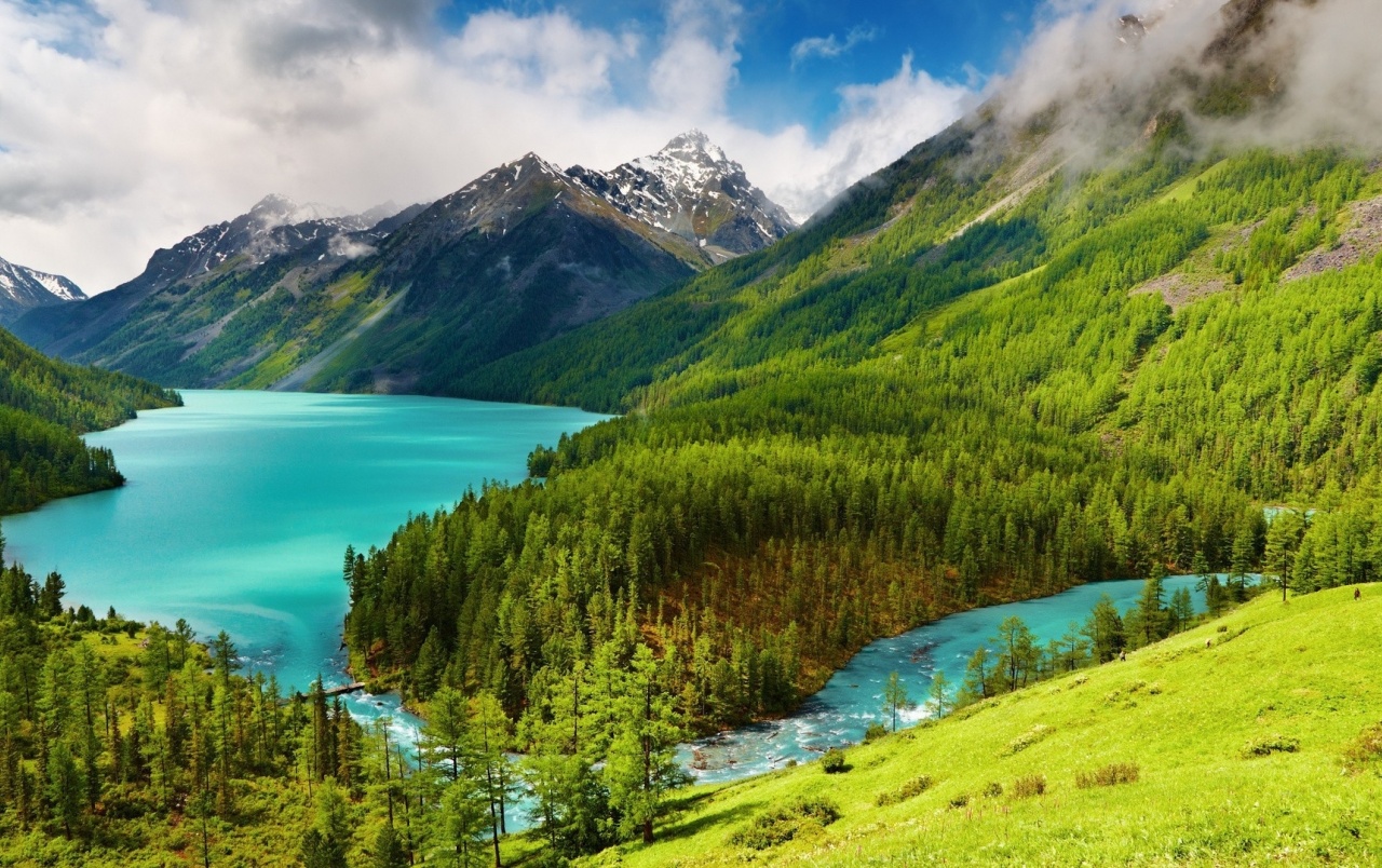 Grass Forest Mountains & Sea Wallpapers - River Mountain Scenery - HD Wallpaper 