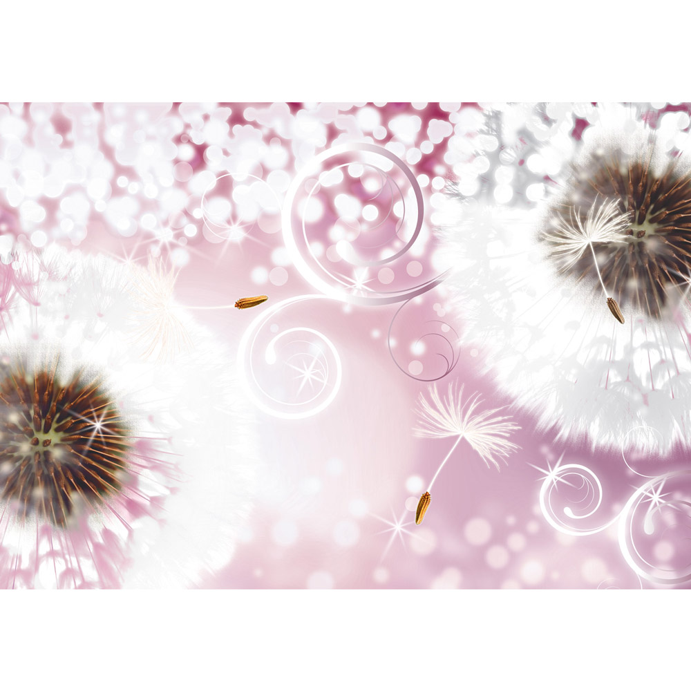 Pusteblume Zum Geburtstag Rosa - HD Wallpaper 