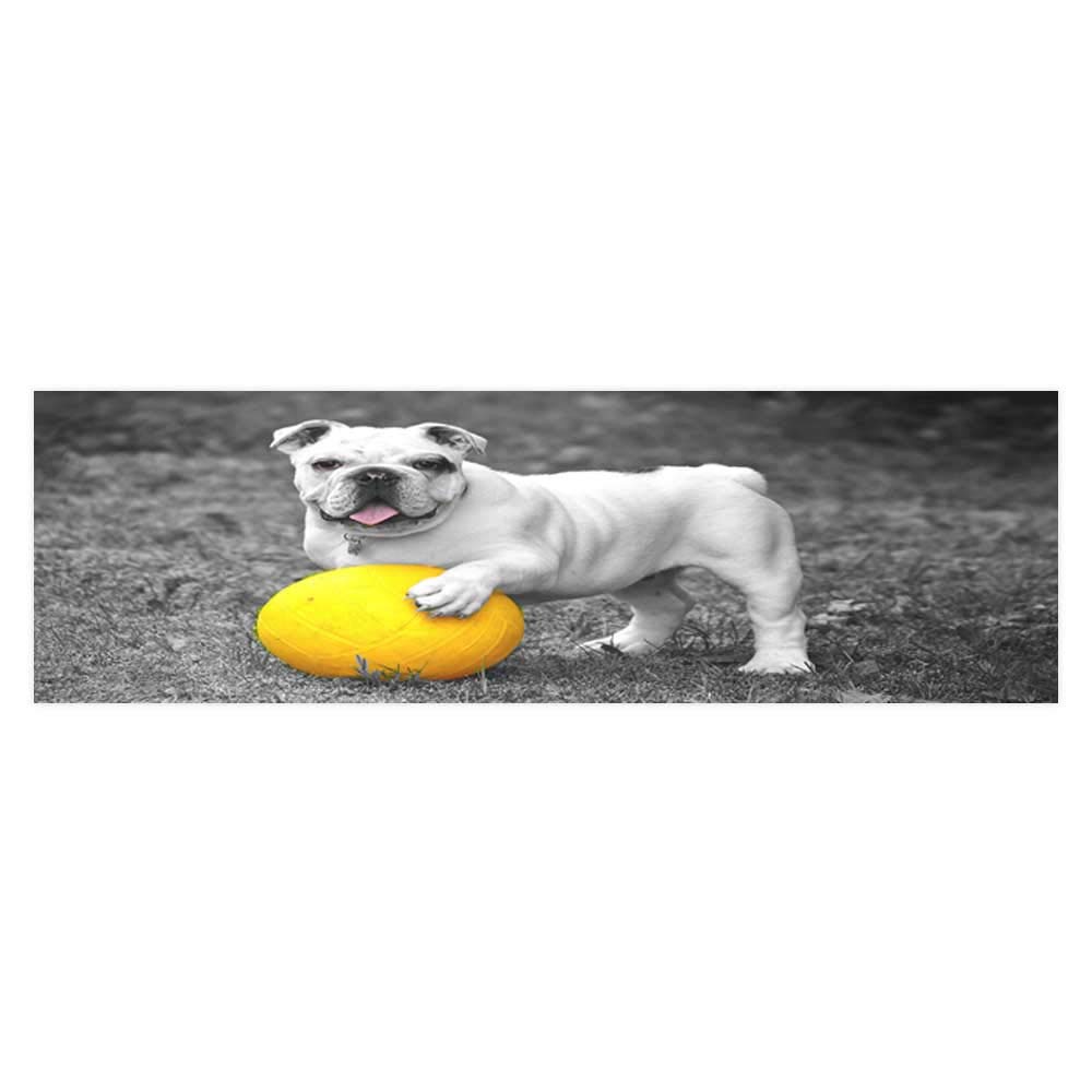 Olde English Bulldogge - HD Wallpaper 