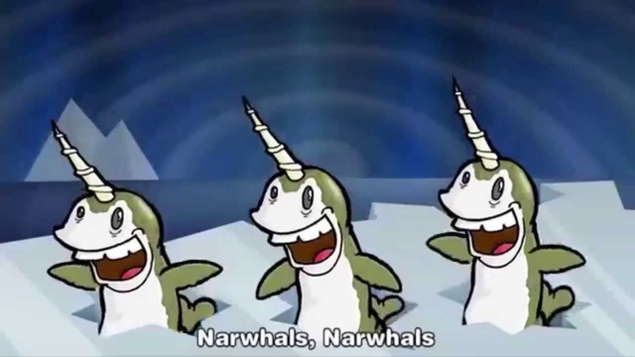 Narwhals Song - HD Wallpaper 