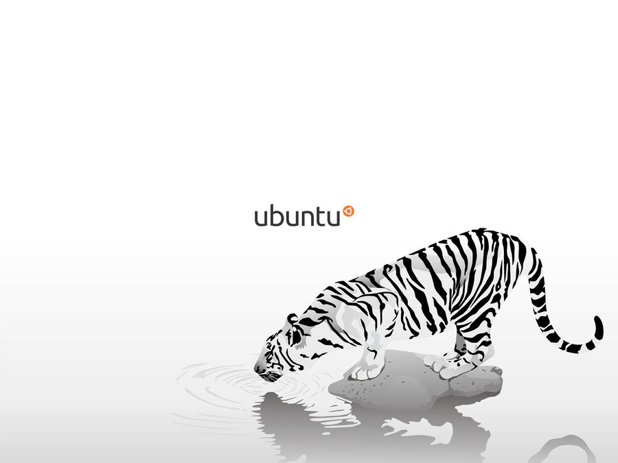Ubuntu Natty Narwhal Themed Wallpapers - White Tiger - HD Wallpaper 