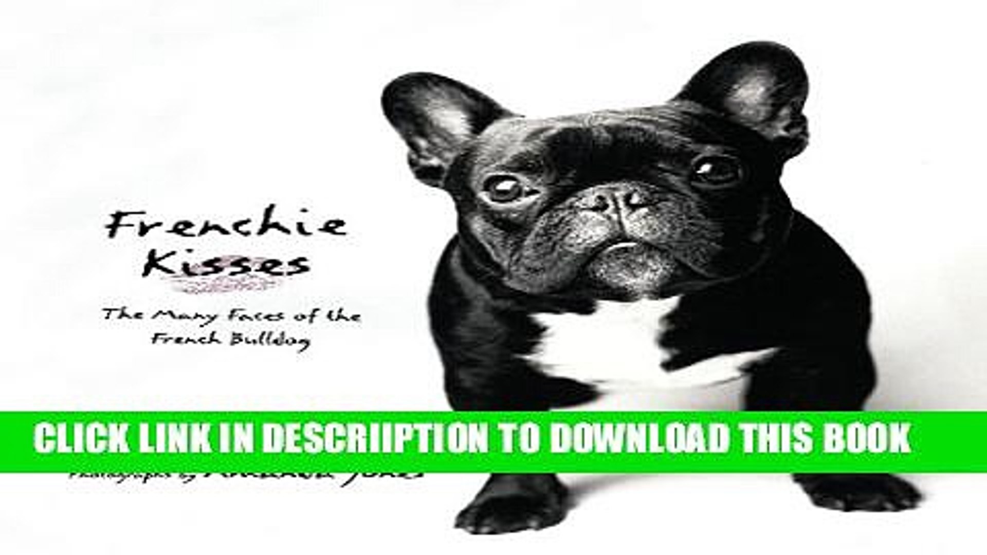 French Bulldog - HD Wallpaper 