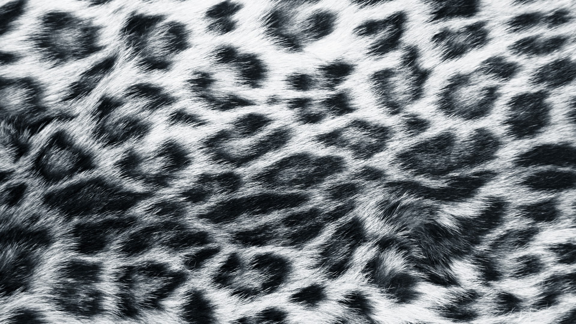 Fur Snow Leopard Print - HD Wallpaper 
