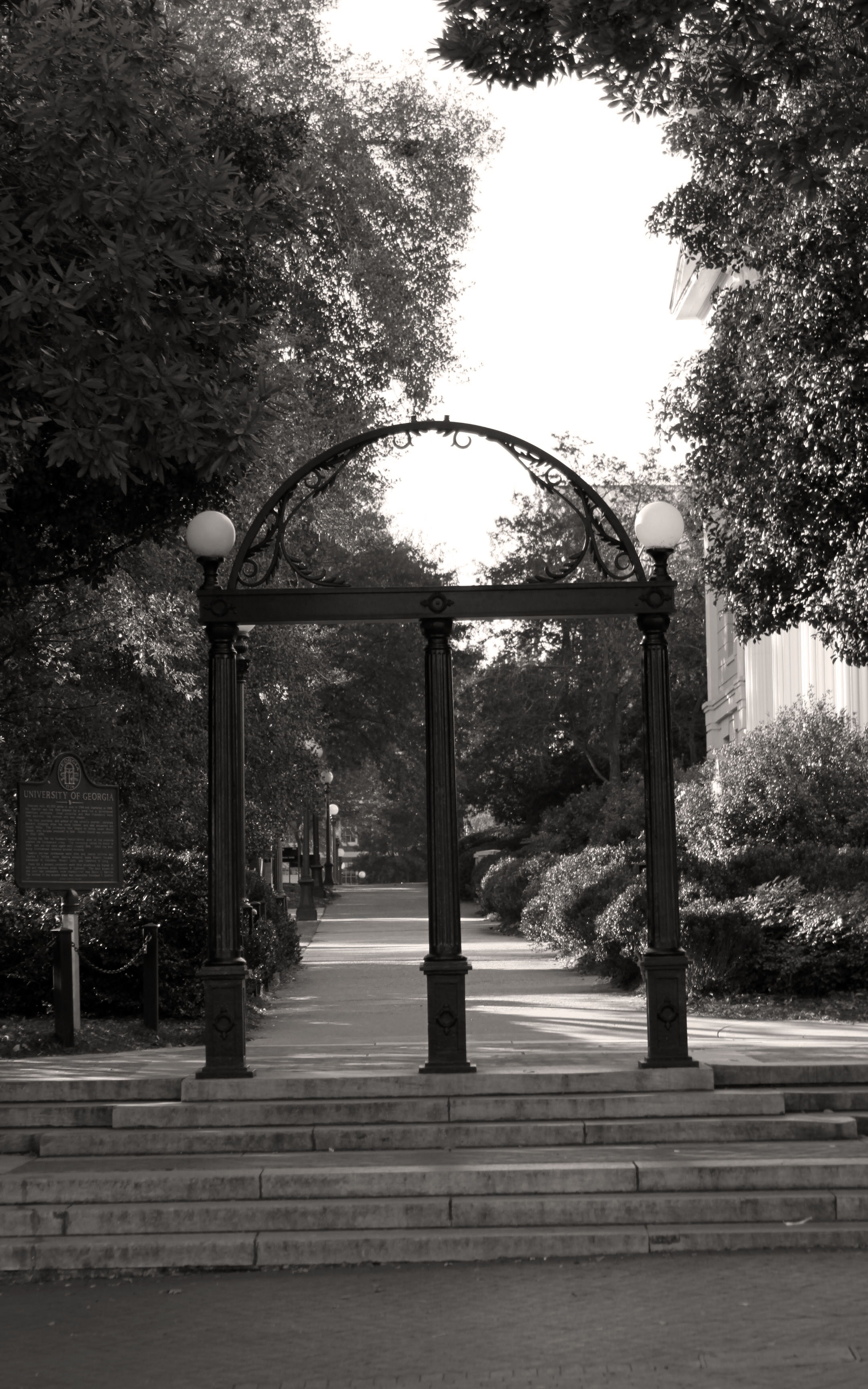Arch - 2160x3456 Wallpaper - teahub.io