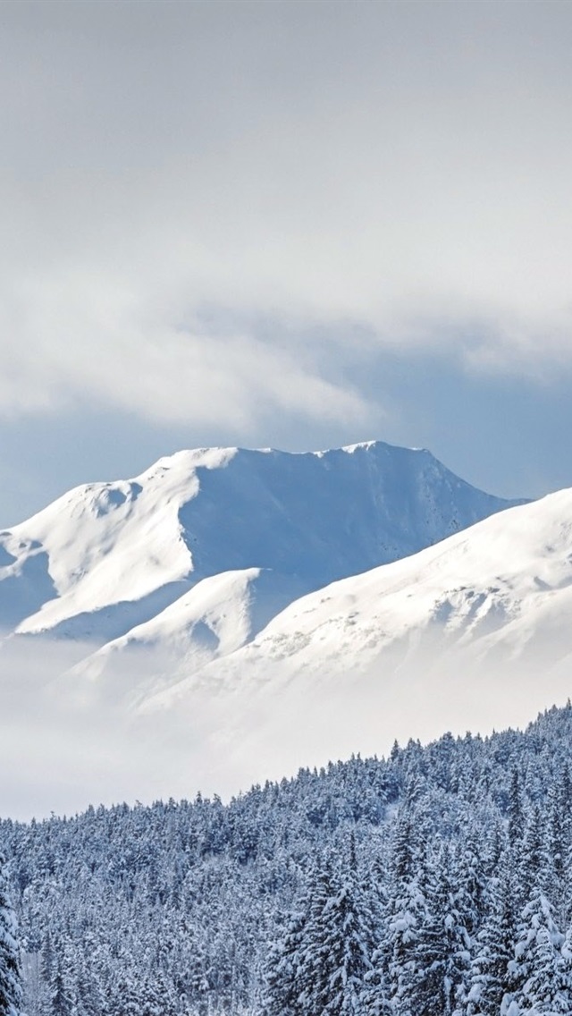 高清 全景 風景 640x1136 Wallpaper Teahub Io 高清 全景 風景 640x1136 Wallpaper Teahub Io