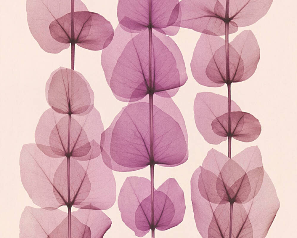 Création Wallpaper Flowers, Cream, Metallic, Purple - 34245 4 - HD Wallpaper 