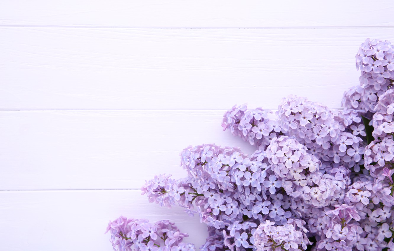 Photo Wallpaper Flowers, Background, Wood, Flowers, - Lilac Flower Background - HD Wallpaper 